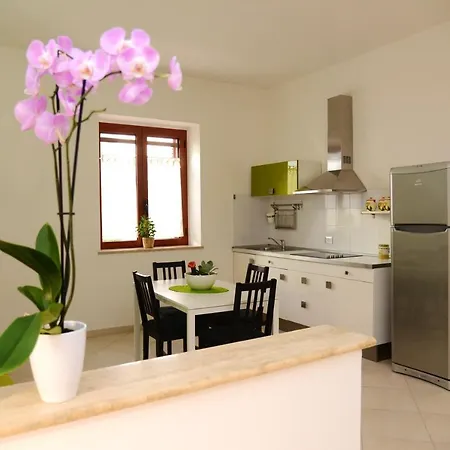 With One Bedroom In With Furnished Balcony And Wifi 3 Km From The Beach سكانتْسانو